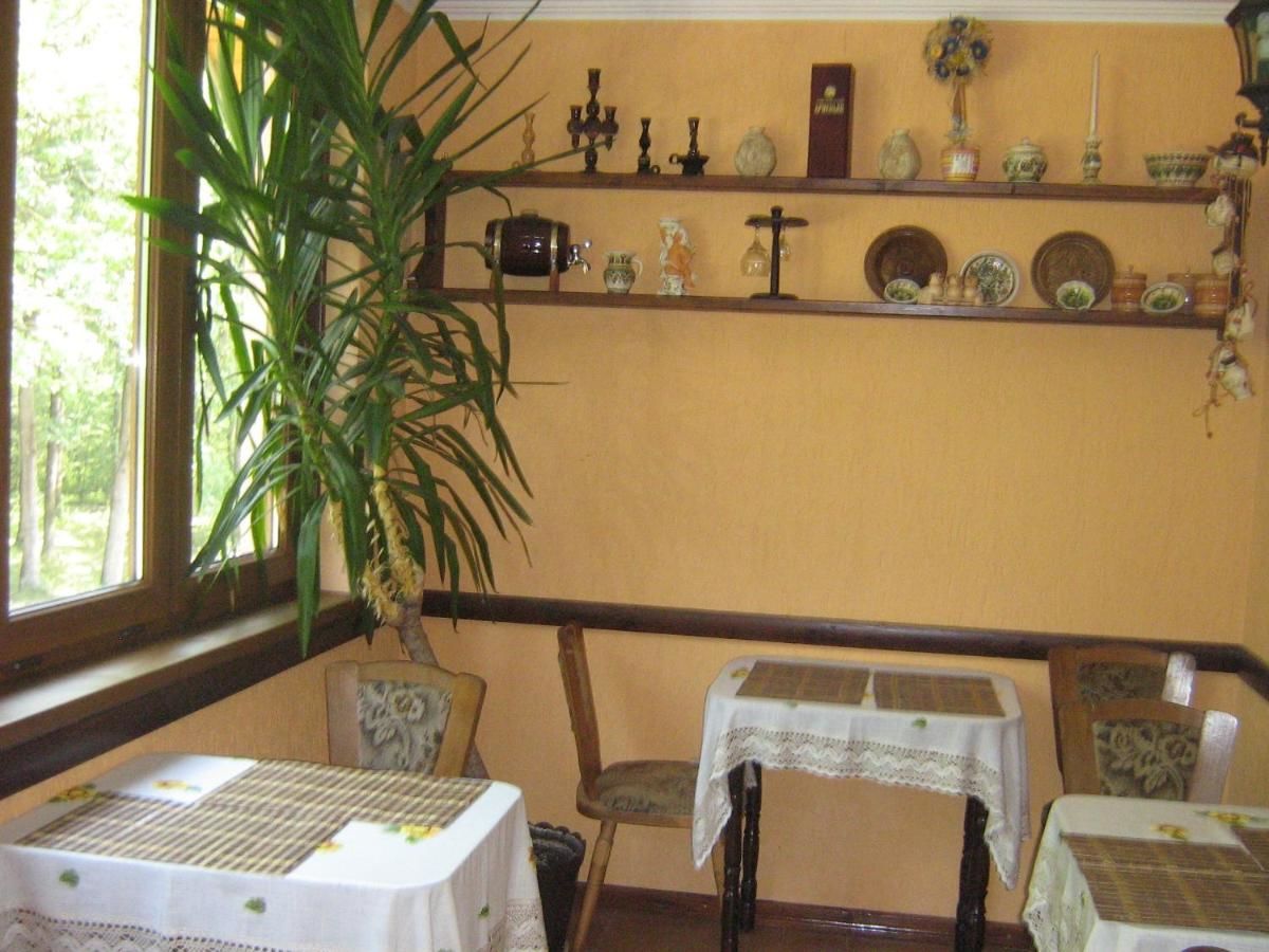 Виллы Villa Veselka Stari Kuty-12