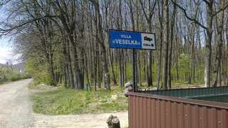 Виллы Villa Veselka Stari Kuty-3